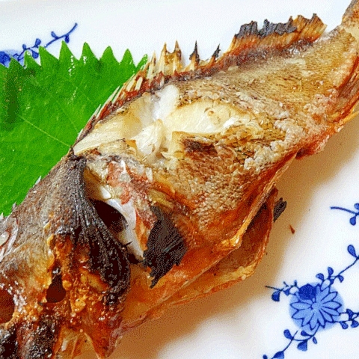 ちょっと高級感 カサゴの塩焼き レシピ 作り方 By Startrek 楽天レシピ ちょっと高級感 カサゴの塩焼き レシピ 作り方 By Startrek 楽天レシピ
